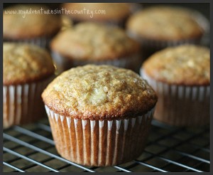 CinBanMuffins