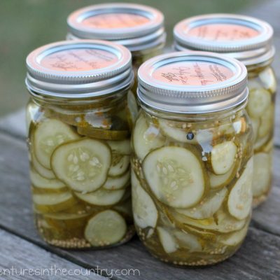 Hamburger Pickles