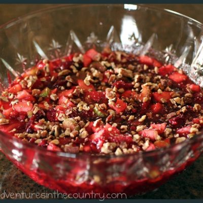 Grandma Jim’s Cranberry Salad