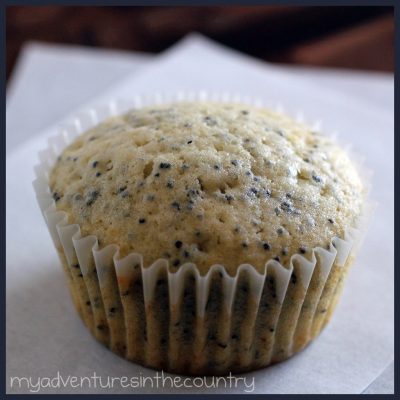 Monday’s Mystery Recipe Episode 10: Almond Poppy Seed Muffins
