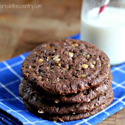 Monday’s Mystery Recipe Episode 17: Chocolate Comfort Cookies