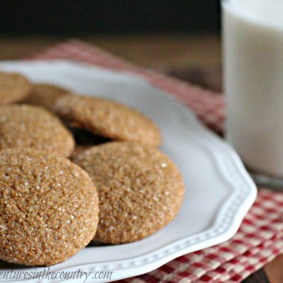 Monday’s Mystery Recipe Episode 21: Ice-Capped Gingersnaps (Minus the Ice Cap)